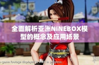 全面解析亚洲NINEBOX模型的概念及应用场景