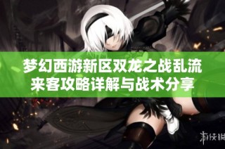 梦幻西游新区双龙之战乱流来客攻略详解与战术分享