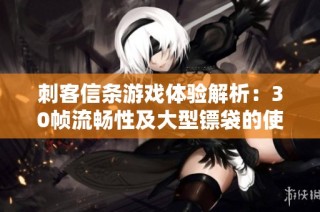 刺客信条游戏体验解析：30帧流畅性及大型镖袋的使用心得