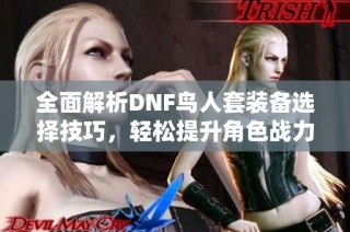 全面解析DNF鸟人套装备选择技巧，轻松提升角色战力