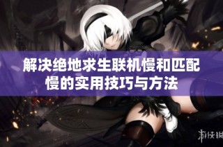解决绝地求生联机慢和匹配慢的实用技巧与方法