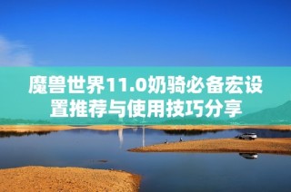 魔兽世界11.0奶骑必备宏设置推荐与使用技巧分享
