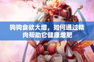 狗狗食欲大增，如何通过精肉帮助它健康增肥