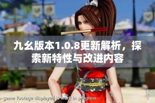 九幺版本1.0.8更新解析，探索新特性与改进内容