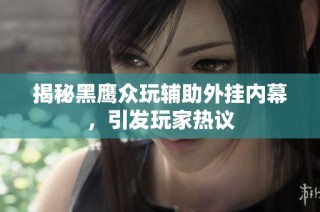 揭秘黑鹰众玩辅助外挂内幕，引发玩家热议