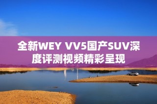 全新WEY VV5国产SUV深度评测视频精彩呈现