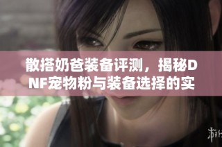 散搭奶爸装备评测，揭秘DNF宠物粉与装备选择的实力与优势