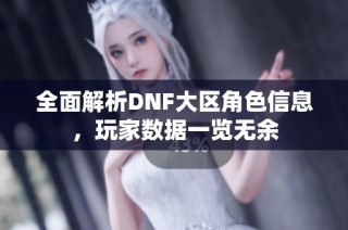 全面解析DNF大区角色信息，玩家数据一览无余