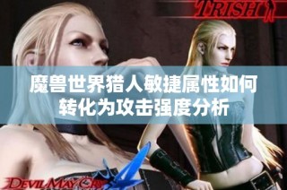魔兽世界猎人敏捷属性如何转化为攻击强度分析