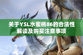 关于YSL水蜜桃86的合法性解读及购买注意事项