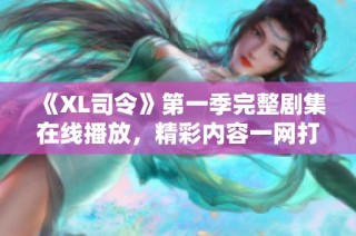 《XL司令》第一季完整剧集在线播放，精彩内容一网打尽