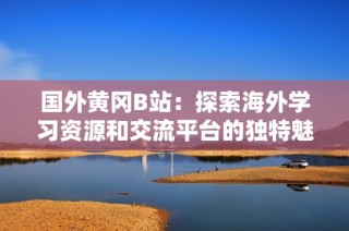 国外黄冈B站：探索海外学习资源和交流平台的独特魅力