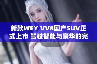 新款WEY VV8国产SUV正式上市 驾驶智能与豪华的完美结合