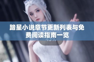 踏星小说章节更新列表与免费阅读指南一览