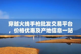 穿越火线手枪批发交易平台，价格优惠及产地信息一站式获取