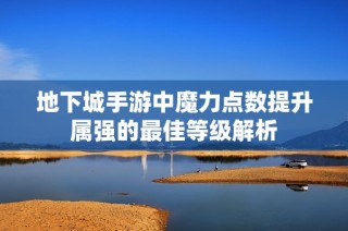 地下城手游中魔力点数提升属强的最佳等级解析
