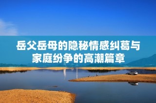 岳父岳母的隐秘情感纠葛与家庭纷争的高潮篇章