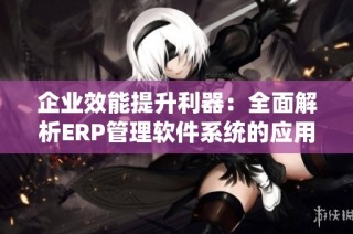 企业效能提升利器：全面解析ERP管理软件系统的应用与优势