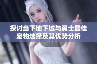 探讨当下地下城与勇士最佳宠物选择及其优势分析