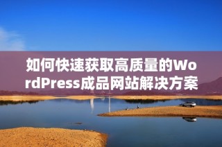 如何快速获取高质量的WordPress成品网站解决方案