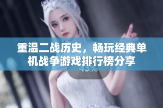 重温二战历史，畅玩经典单机战争游戏排行榜分享
