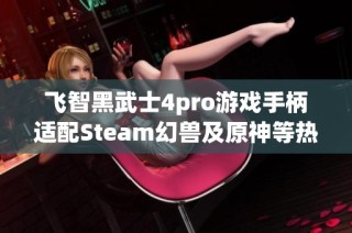 飞智黑武士4pro游戏手柄适配Steam幻兽及原神等热门游戏