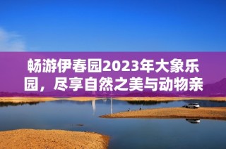 畅游伊春园2023年大象乐园，尽享自然之美与动物亲密接触