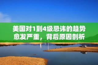 美国对1到4级忌讳的趋势愈发严重，背后原因剖析