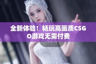 全新体验！畅玩高画质CSGO游戏无需付费