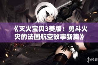 《灭火宝贝3美版：勇斗火灾的法国航空故事新篇》