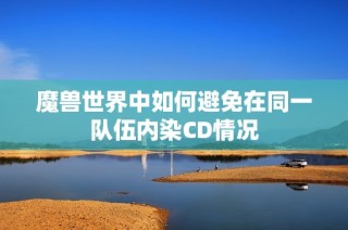 魔兽世界中如何避免在同一队伍内染CD情况