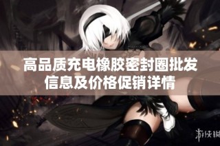 高品质充电橡胶密封圈批发信息及价格促销详情