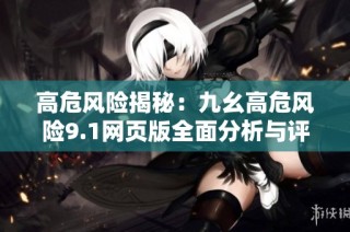 高危风险揭秘：九幺高危风险9.1网页版全面分析与评估