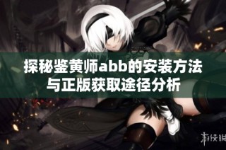 探秘鉴黄师abb的安装方法与正版获取途径分析