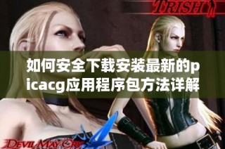 如何安全下载安装最新的picacg应用程序包方法详解