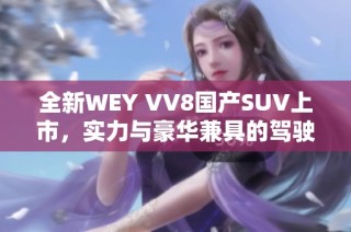 全新WEY VV8国产SUV上市，实力与豪华兼具的驾驶体验