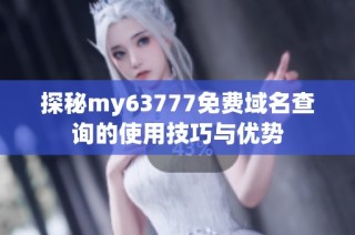 探秘my63777免费域名查询的使用技巧与优势