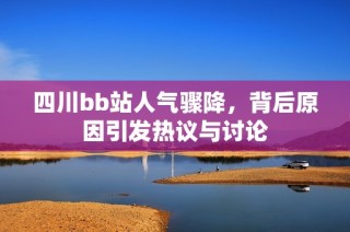 四川bb站人气骤降，背后原因引发热议与讨论