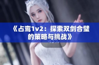 《占鸾1v2：探索双剑合璧的策略与挑战》