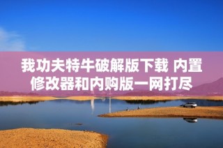 我功夫特牛破解版下载 内置修改器和内购版一网打尽