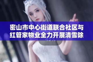 密山市中心街道联合社区与红管家物业全力开展清雪除冰行动 助力城市安全与整洁