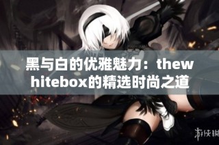 黑与白的优雅魅力：thewhitebox的精选时尚之道