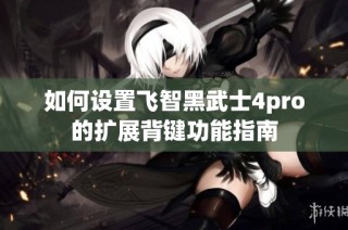 如何设置飞智黑武士4pro的扩展背键功能指南