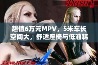 超值6万元MPV，5米车长空间大，舒适座椅与低油耗完美结合