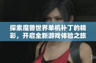 探索魔兽世界单机补丁的精彩，开启全新游戏体验之旅