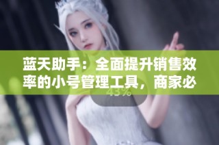 蓝天助手：全面提升销售效率的小号管理工具，商家必备