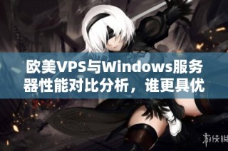 欧美VPS与Windows服务器性能对比分析，谁更具优势