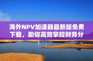 海外NPV加速器最新版免费下载，助你高效掌控财务分析工具