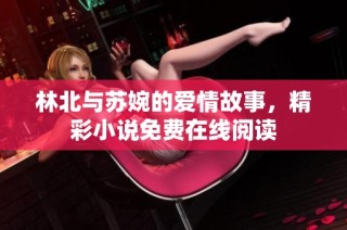 林北与苏婉的爱情故事，精彩小说免费在线阅读