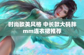 时尚欧美风格 中长款大码胖mm连衣裙推荐